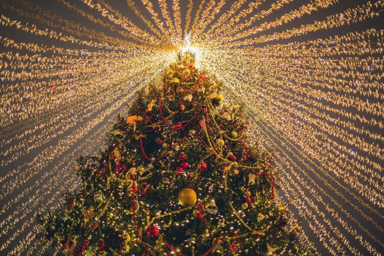 arbol de navidad encendido