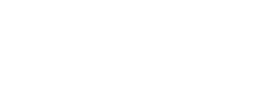 Logo Accumin Intelligence